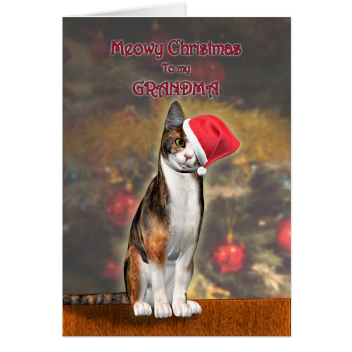 For Grandma a funny cat in a Christmas hat