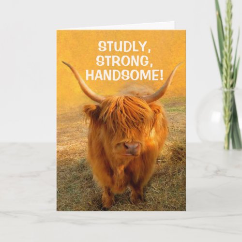 For Husband Funny Steer Birthday Card