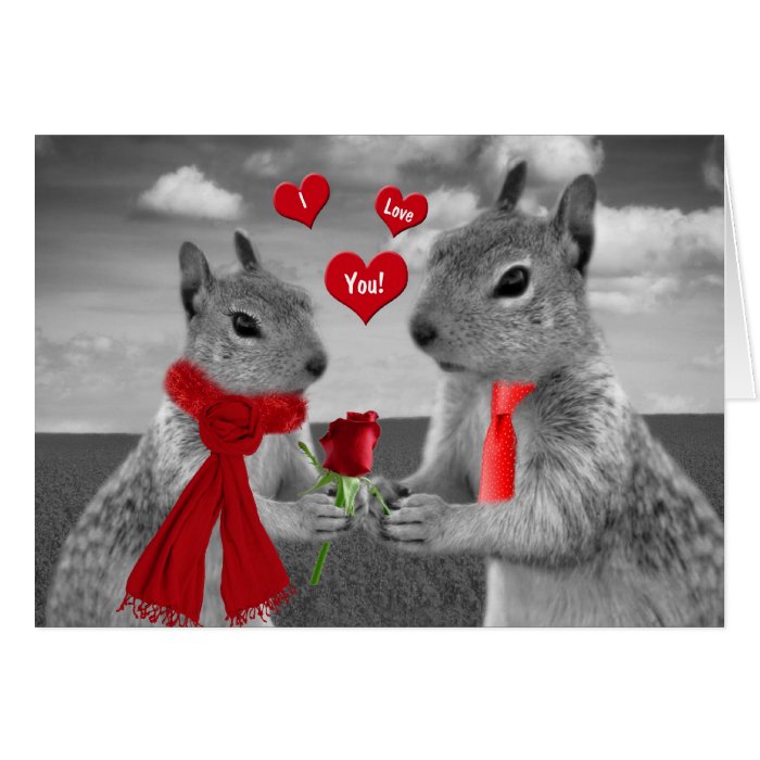 For Husband on Valentine's Day Funny Squirrel Card