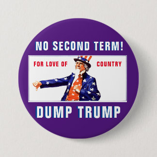 For Love of Country Dump Trump Button