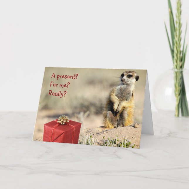 For me? - A KMP Christmas Card (Front)