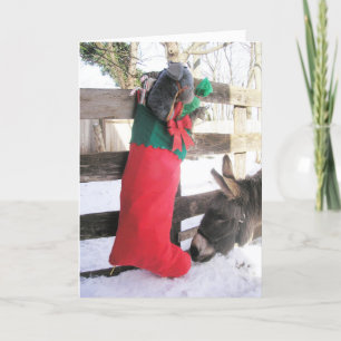 "For Me?" Holiday Card