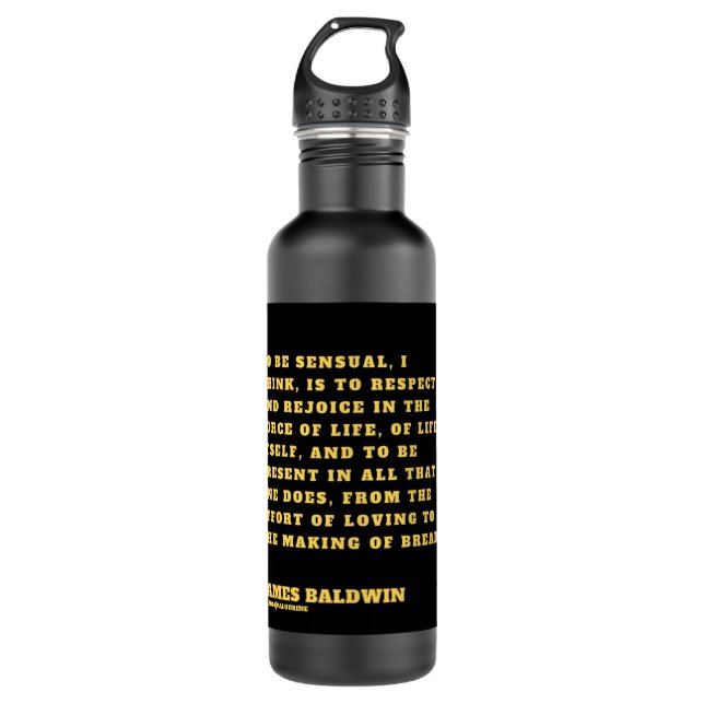 For Men Women James Baldwin Gift For Birthday Stainless Steel Water Bottle (Front)
