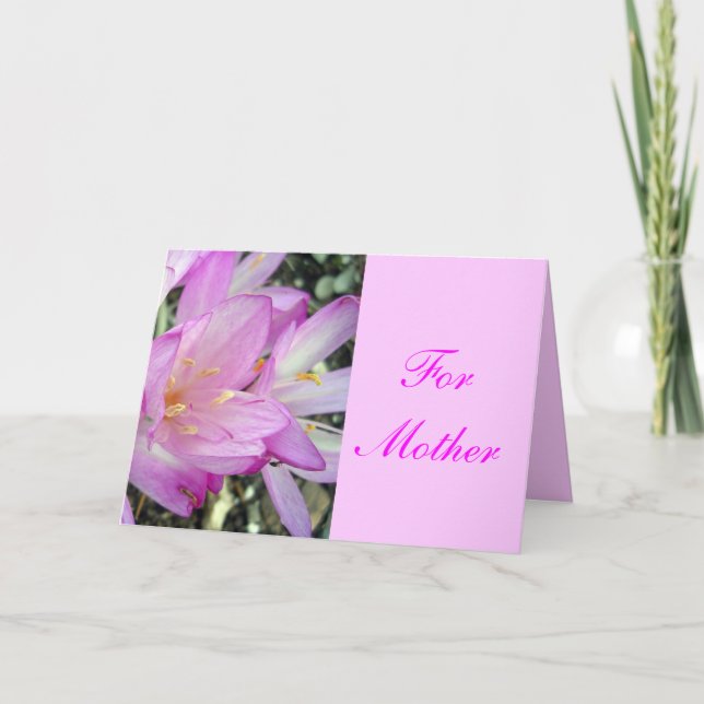 For Mother Card (Front)