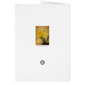 For Mother with Daffodil Cards (Back)
