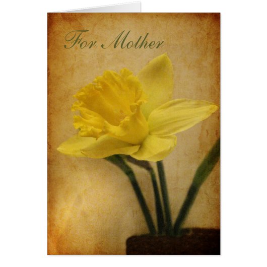 For Mother with Daffodil Cards (Front)