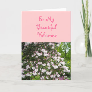 For My Beautiful Valentine Holiday Card