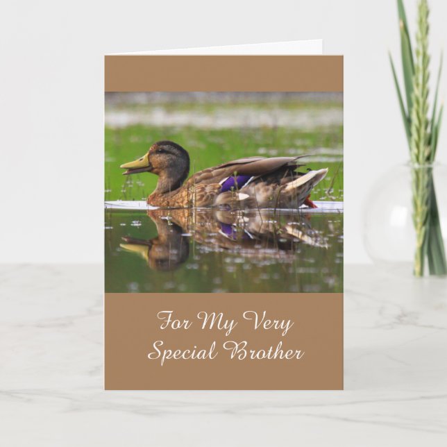 For My Brother Mallard Birthday Card (Front)
