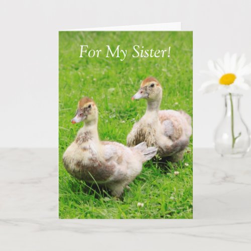 For My Sister Cancer Support Duckling Card