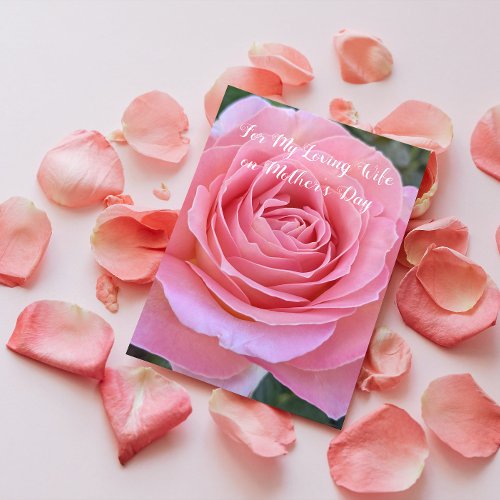 For My Wife Pink Rose Bloom Floral Mothers Day Card