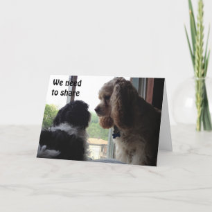 FOR OUR SHARED BIRTHDAY-PUPS IN A WINDOW CARD