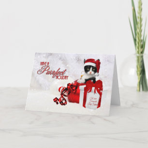 for Perfect Pet Sitter from the Cat Holiday Card