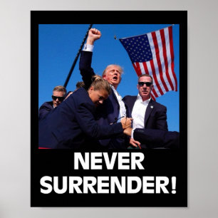 For President Trump3 Poster