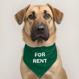 For Rent: Funny Interesting Unusual Pet Bandana Collar