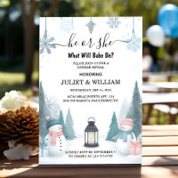 For Rustic Snow Cold Ice Cozy Winter Gender Reveal