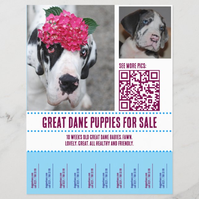  for Sale Flyer (Front)