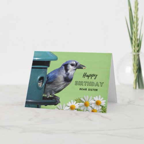 For Sister Birthday with Blue Jay at Feeder Card
