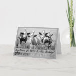 For Sister Funny Birthday Cows in Hats Card<br><div class="desc">Black and white photo of cattle with elongated ears and pointed paper party hats are featured on this birthday card for someone's sister. Art,  image,  and verse copyright © Shoaff Ballanger Studios,  2023.</div>