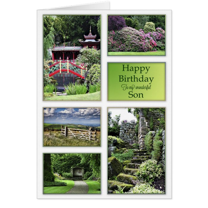 For Son, a birthday card with garden views