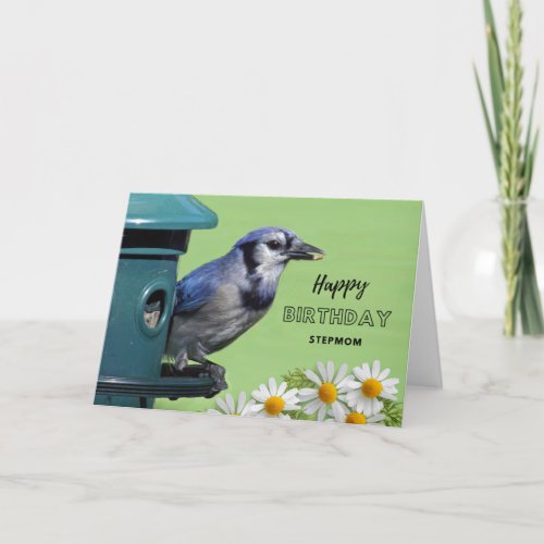 For Stepmom Birthday with Blue Jay at Feeder Card