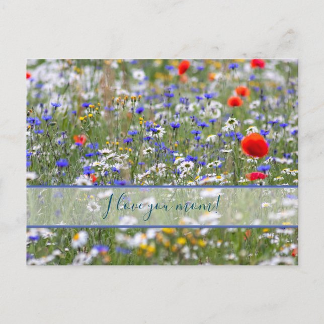 For the best mommy in the world! postcard (Front)