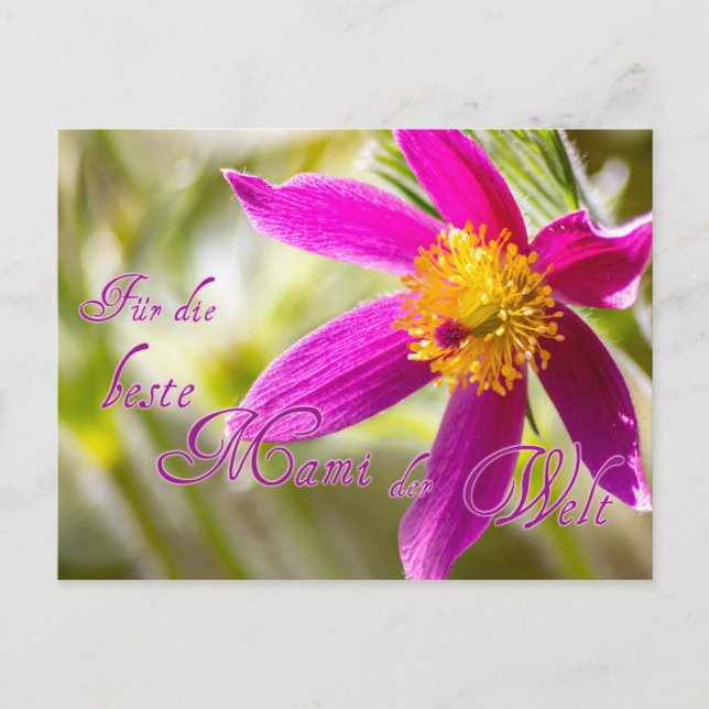 For the best mommy in the world! postcard (Front)