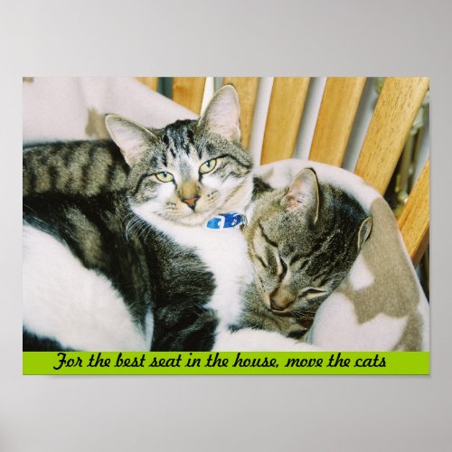 For the best seat in the house move the cats poster