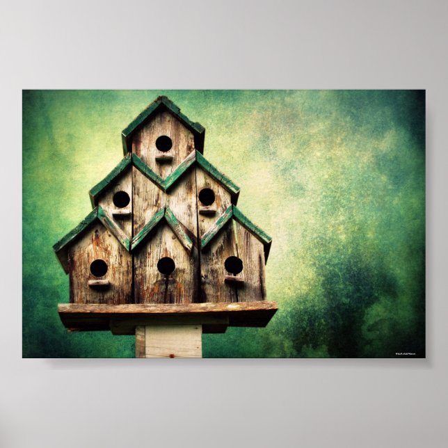 For the Birds Poster (Front)