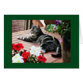 For the catlovers worldwide! (Front Horizontal)