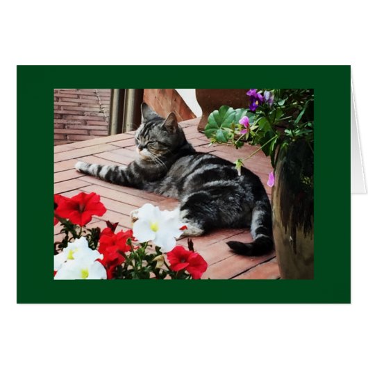 For the catlovers worldwide! cards (Front Horizontal)