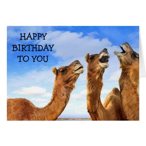 Capretto Day For_the_child_these_camel_sing_happy_birthday_card-r71d159871b7c4cf6aa334da39f5d444b_xvuak_8byvr_512