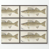 Walleye Fish Custom Design Wrapping Paper Freshwater Fishing Fisherman's  Birthday Special Occasion Gift Giving 