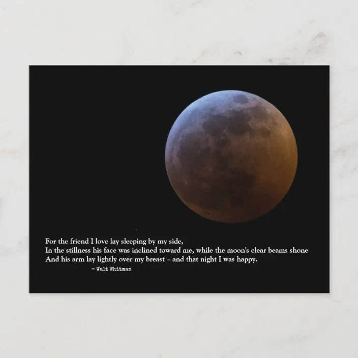 Walt Whitman Quotes Love "For The Friend I Love" Walt Whitman Love Poem Postcard | Zazzle.com