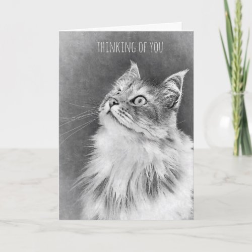 For the Loss of a Pet Cat card Card