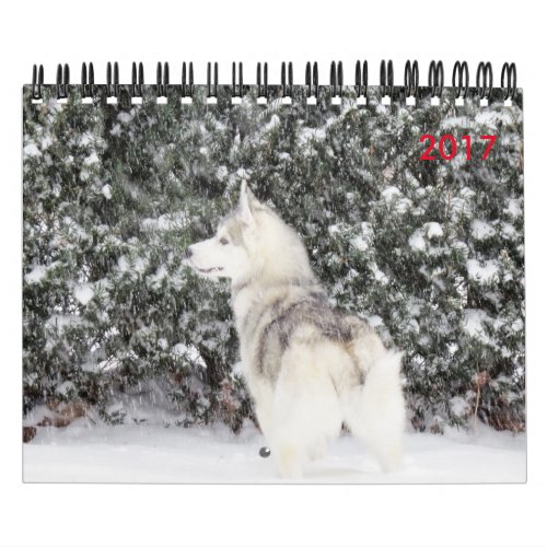 For the Love of dogs Calendar