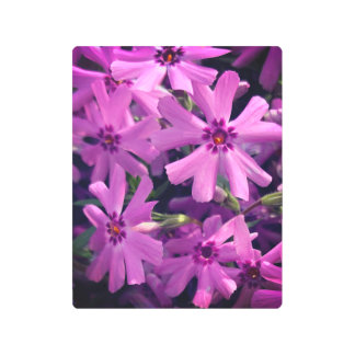 For the Love of Flowers Metal Print