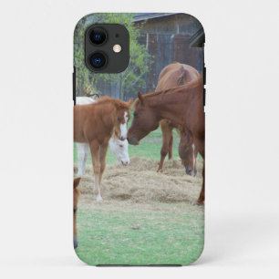 For the Love of Horses iPhone 11 Case