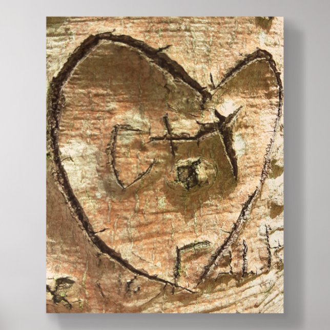 For the Love of Trees Photo Tile (Front Set)