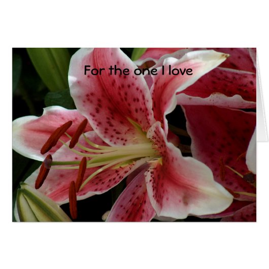 For the one I love (Front Horizontal)