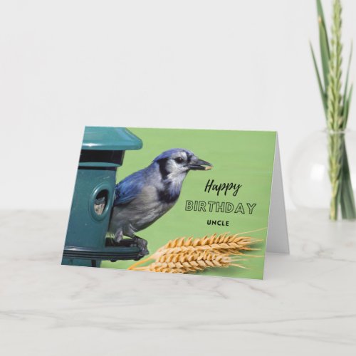 For Uncle Birthday with Blue Jay at Feeder