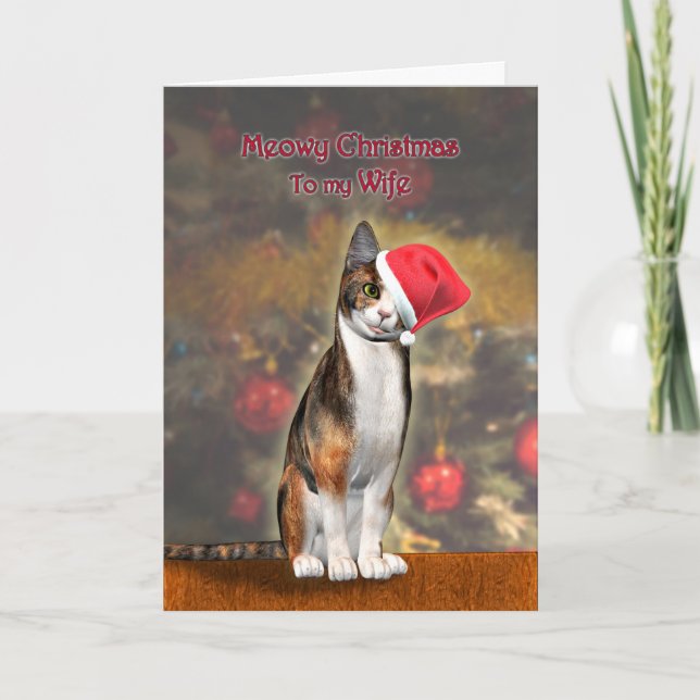 For Wife, a funny cat in a Christmas hat Holiday Card (Front)