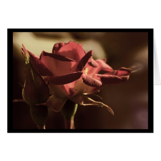 For you (Front Horizontal)