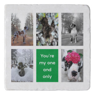 For your best Great Dane Dog photographies  Trivet