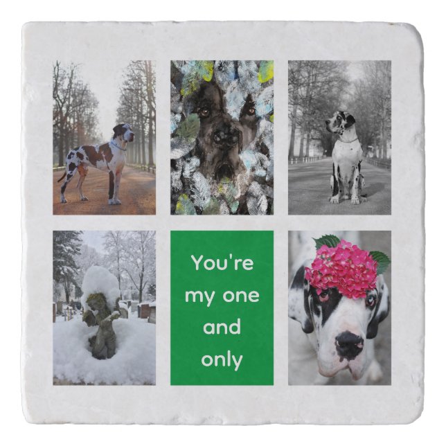 For your best Great Dane Dog photographies  Trivet (Front)