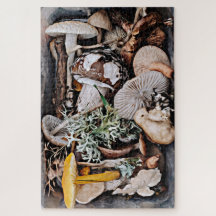 Foraged wild mushrooms