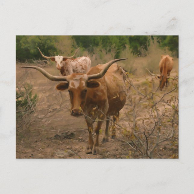 Foraging for Food Postcard (Front)