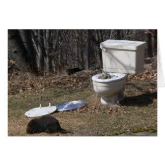Foraging Groundhog Cards