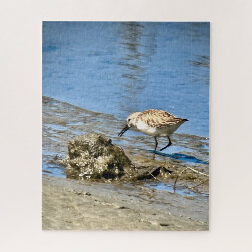 Foraging Sandpiper Jigsaw Puzzle