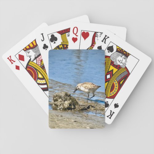 Foraging Sandpiper Playing Cards