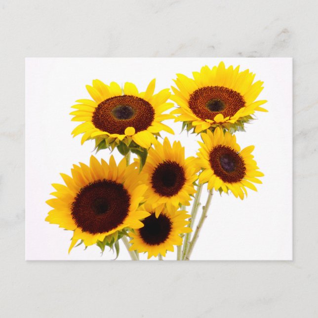 Foral Sunflowers Yellow Flowers - Love, Miss You Postcard (Front)